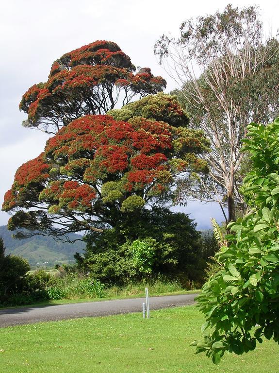 Karamea Holiday Park Exterior photo